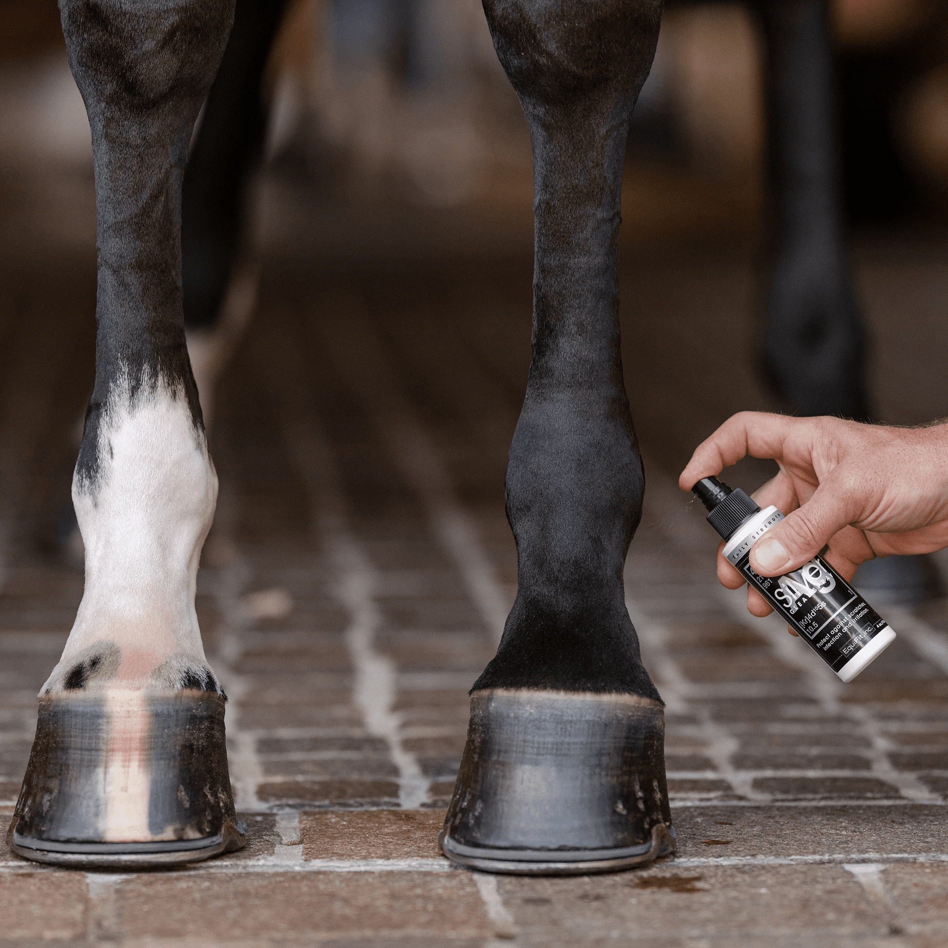 Equifit AGSILVER CleanSpray - 4oz - The Tack Shoppe