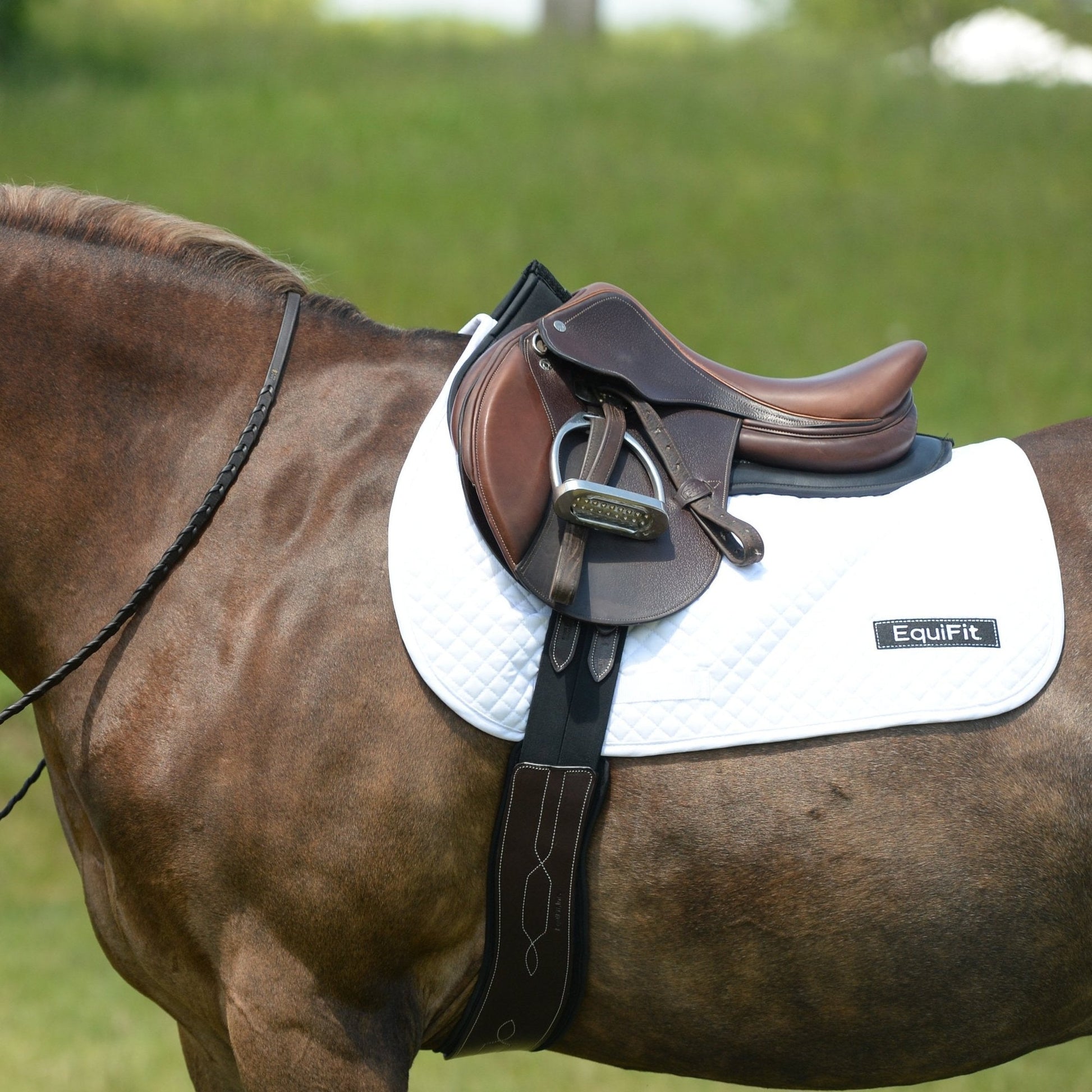 Equifit Anatomical Pony Hunter Girth - The Tack Shoppe
