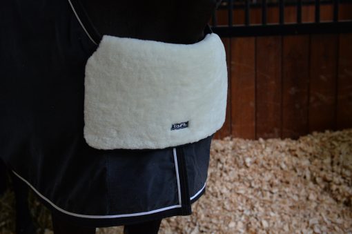 Equifit Blanket Bib - The Tack Shoppe