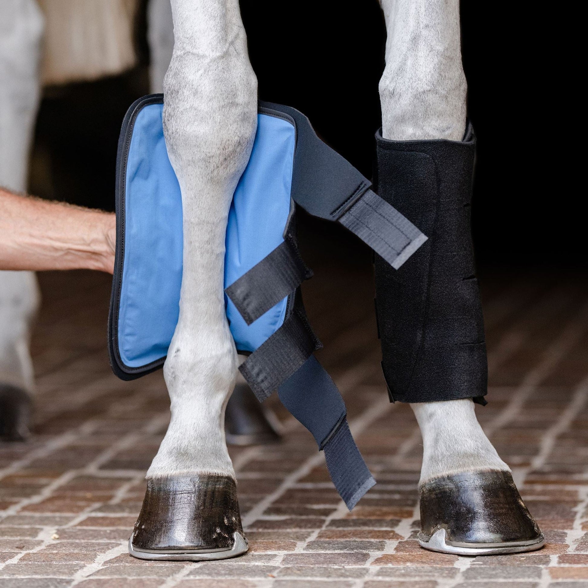 Equifit ESSENTIAL COLD THERAPY TENDON BOOT - The Tack Shoppe