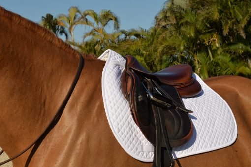 Equifit Essential Square Pad - The Tack Shoppe