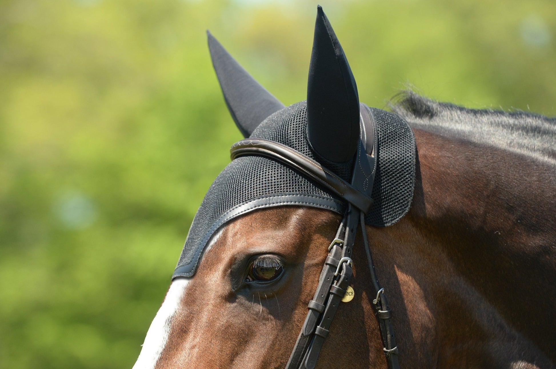 Equifit SilentFit Ear Bonnet - The Tack Shoppe