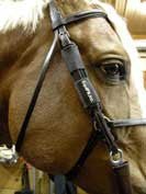 Equifit T - Foam Curb Chain Cover - The Tack Shoppe