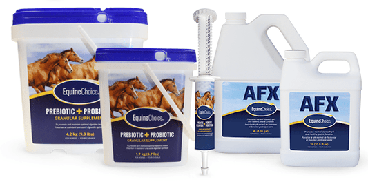 Equine Choice Prebiotic+Probiotic Granular Supplement - The Tack Shoppe
