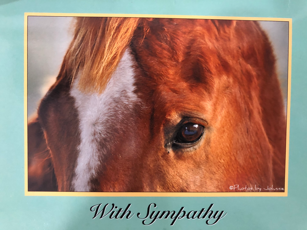 Horse Hollow Press Sympathy Card - With Sympathy