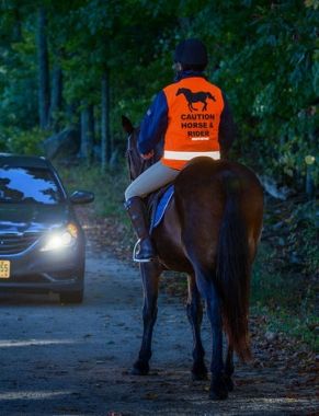 Fluorescent Riding Vest - The Tack Shoppe