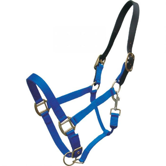 Gerryan Nylon Halter with Leather Breakaway - The Tack Shoppe