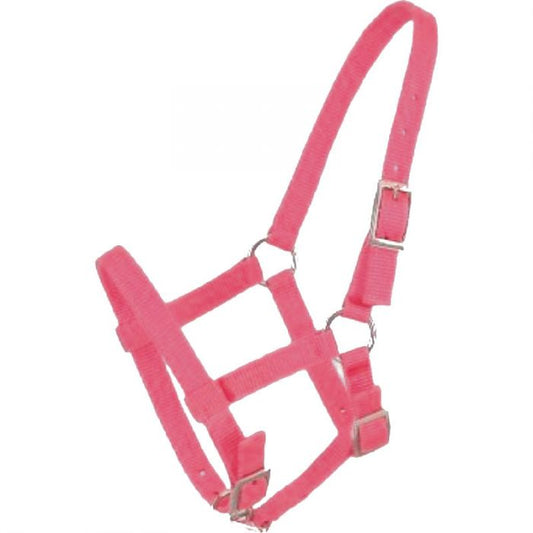 Gerryan Weanling Foal Nylon Halter - The Tack Shoppe