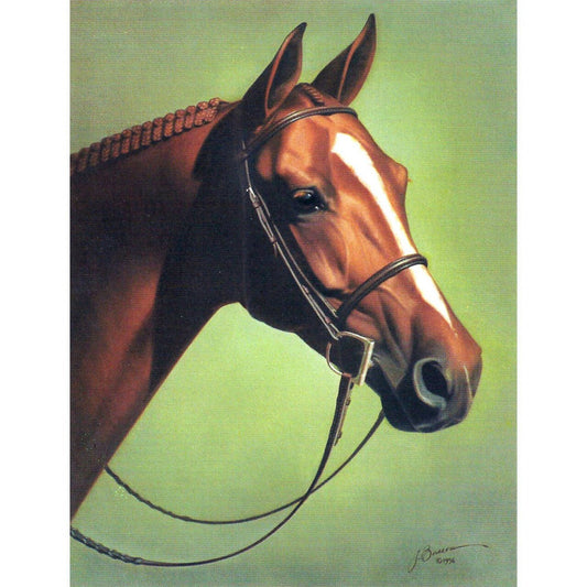 Greeting Cards - Southern Belle - The Tack Shoppe
