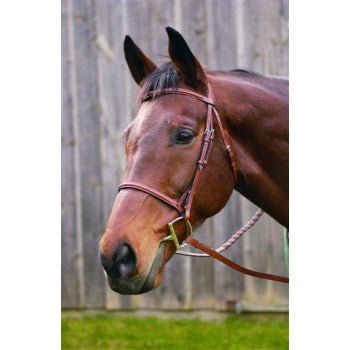 HDR Advantage Plain Raised Bridle with Laced Reins - The Tack Shoppe
