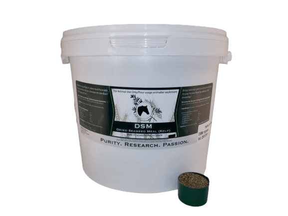 Herbs for Horses - DSM Pure Dried Seaweed Meal - The Tack Shoppe
