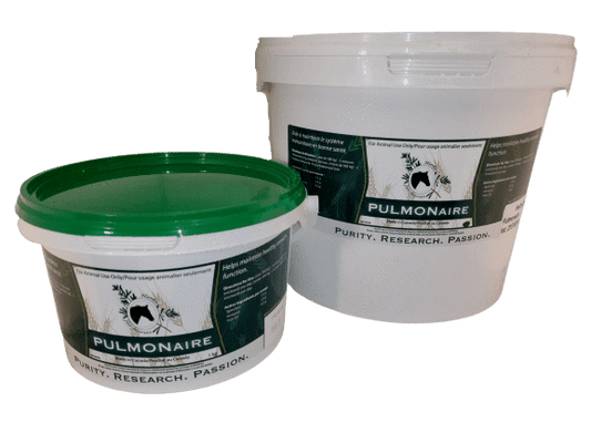 Herbs for Horses Pulmonaire - Powder - The Tack Shoppe