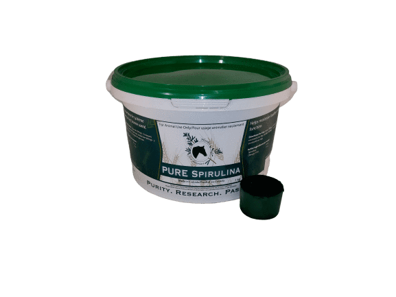 Herbs For Horses Pure Spirulina (Blue Green Algae) - The Tack Shoppe