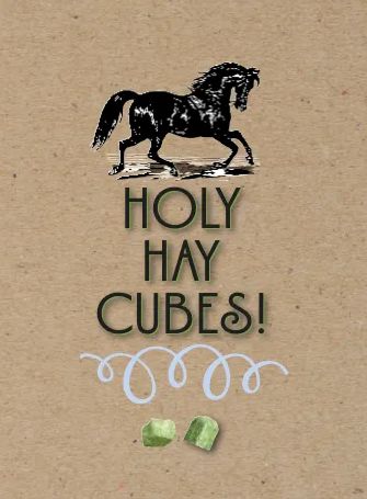 Horse Hollow Press Birthday Card - Holy Hay Cubes - The Tack Shoppe