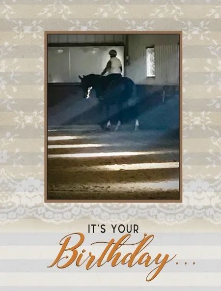 Horse Hollow Press Birthday Card - It's Your Birthday... - The Tack Shoppe