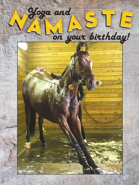 Horse Hollow Press Birthday Card - Yoga and Namaste - The Tack Shoppe