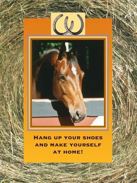 Horse Hollow Press Greeting Card - Welcome New Boarder Horses - The Tack Shoppe