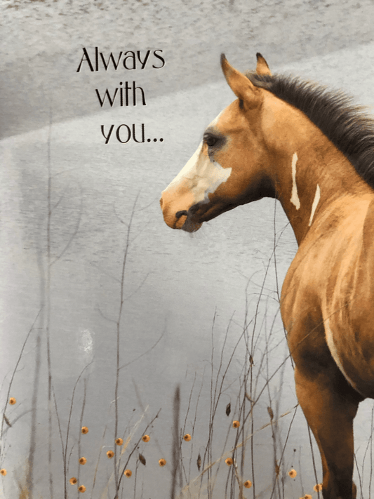 Horse Hollow Press Sympathy Card - Always with You - The Tack Shoppe