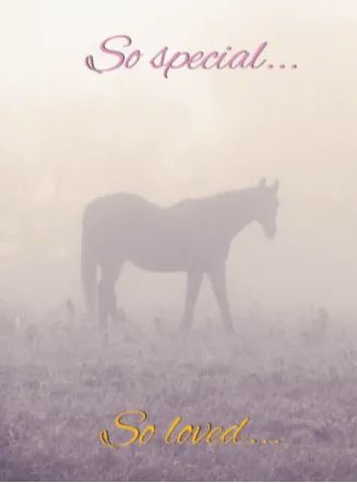 Horse Hollow Press Sympathy Card - So Special, So Warmly Remembered - The Tack Shoppe
