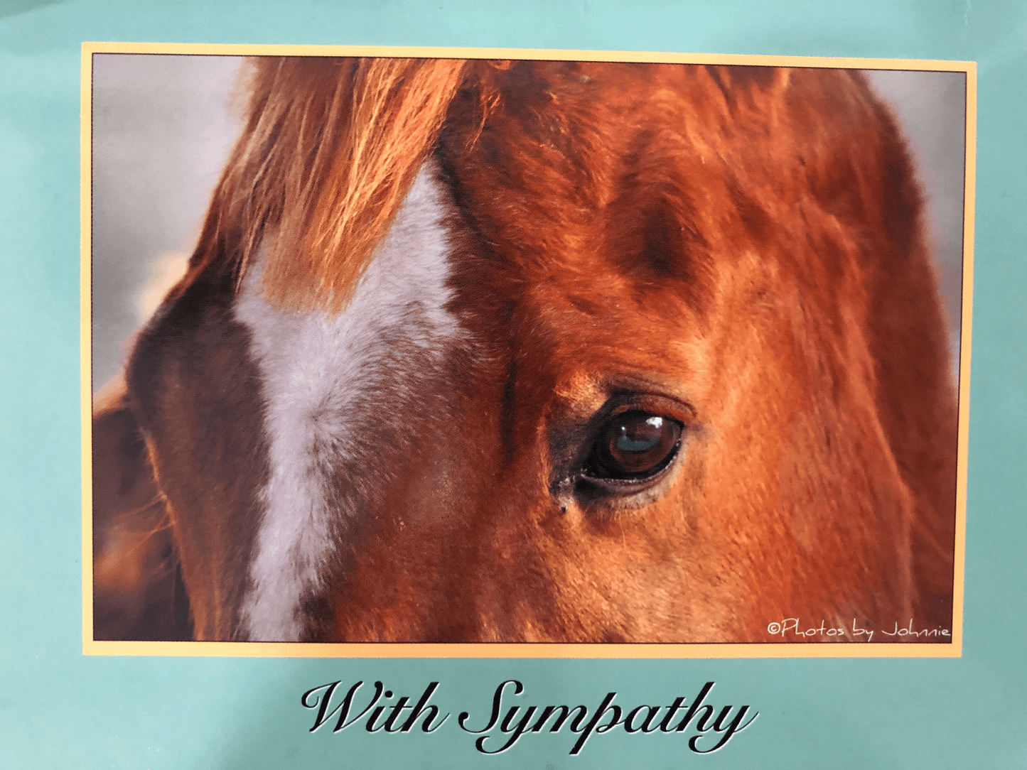 Horse Hollow Press Sympathy Card - With Sympathy - The Tack Shoppe