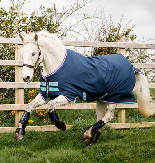 Horseware Amigo Hero 900 Pony Turnout (0g Lite) - Dark Blue/Capri/Raspberry/Purple - The Tack Shoppe