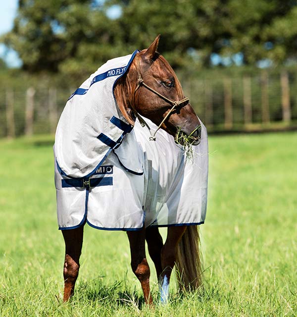 Horseware Mio Fly Sheet (Bronze/Navy) (No fill) - The Tack Shoppe