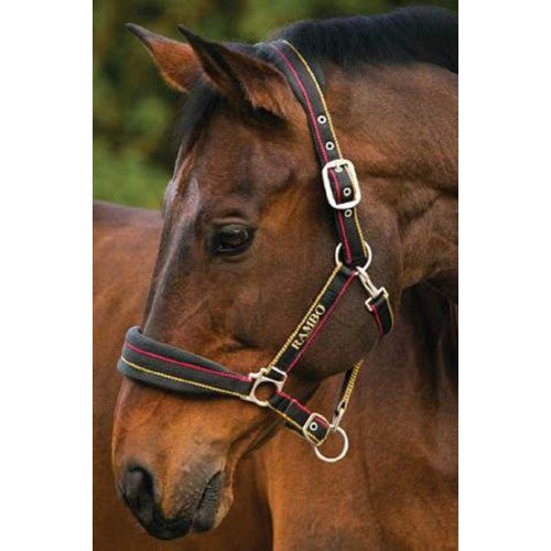 Horseware Rambo Padded Headcollar (Halter) - The Tack Shoppe