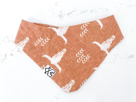 Red Farmhouse Clear Eyes, Full Hearts Dog Bandana