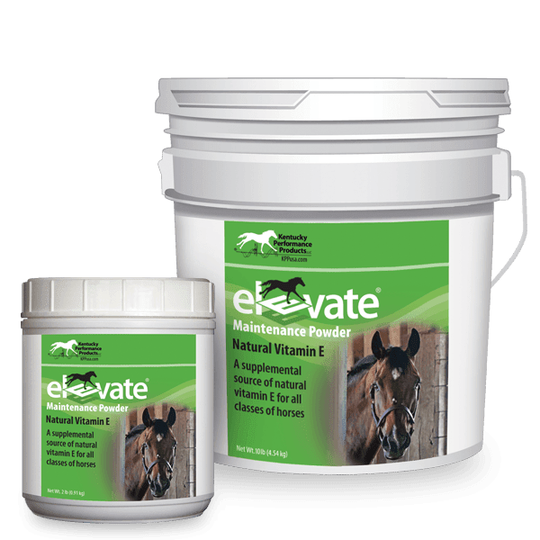 KPP Elevate® Maintenance Powder - The Tack Shoppe