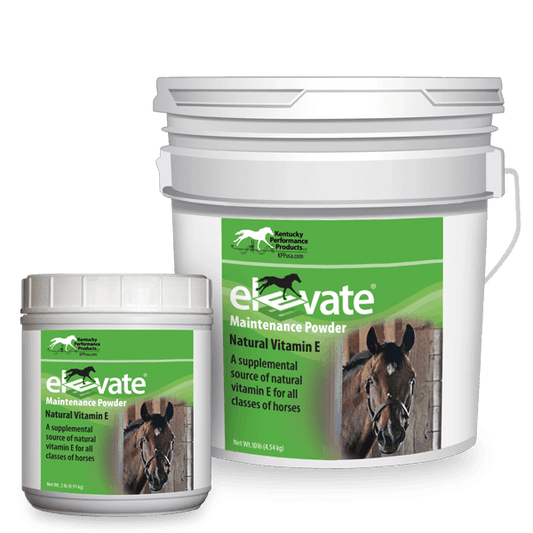 KPP Elevate® Maintenance Powder - The Tack Shoppe