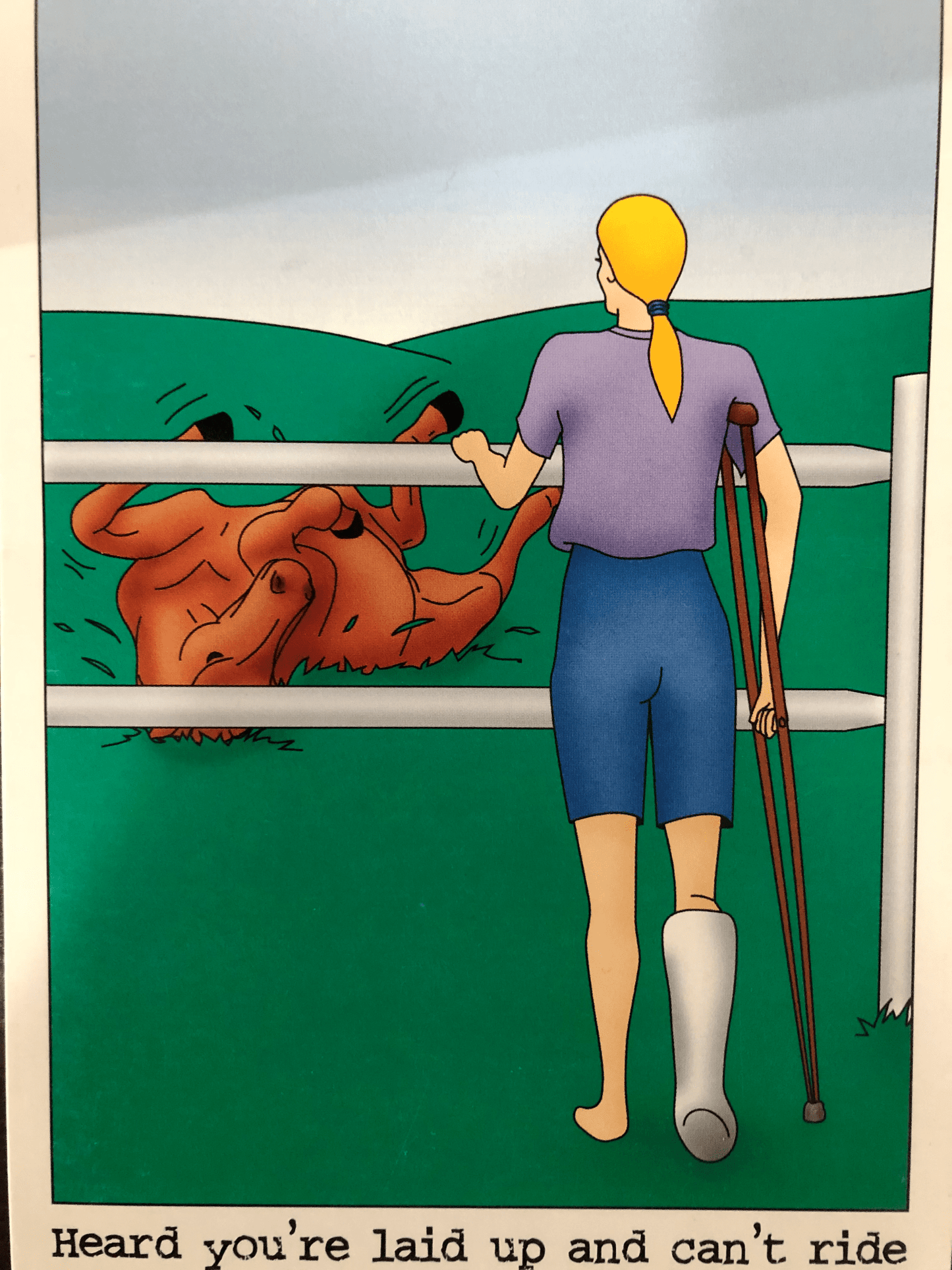 Laid Up - Get Well Soon Card - The Tack Shoppe