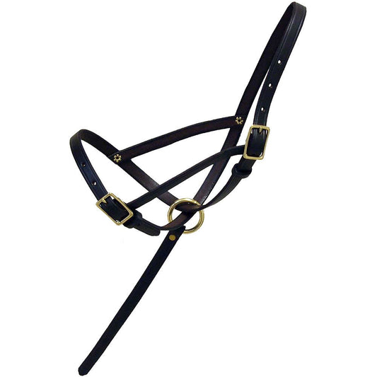 Leather Foal Slip with Grab Strap - The Tack Shoppe