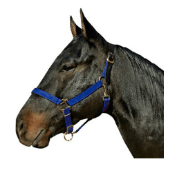 Nylon Breakaway Halter - The Tack Shoppe
