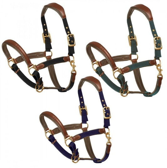 Ovation Luxor Cushion - Flex Halter - The Tack Shoppe
