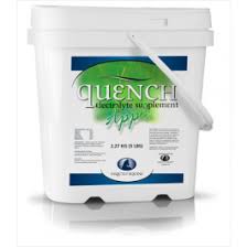 Power Quench Apple Electrolytes Supplement - 4.54kg