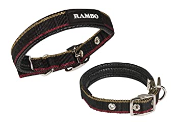 Rambo Dog Collar - Witney Gold - The Tack Shoppe