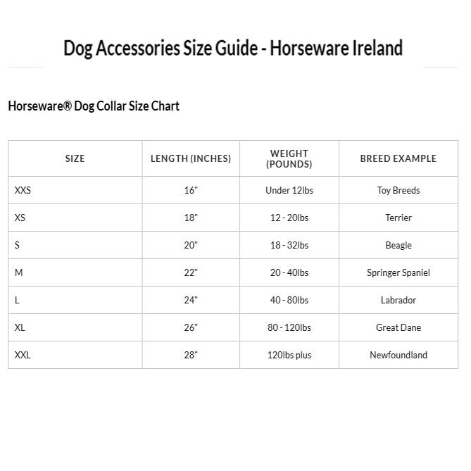 Rambo Dog Collar - Witney Gold - The Tack Shoppe