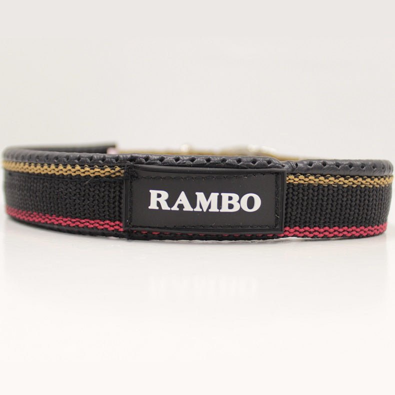 Rambo Dog Collar - Witney Gold - The Tack Shoppe