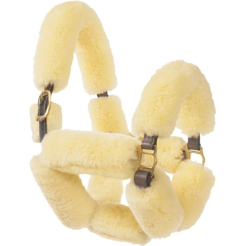 Sage Family Leather SHIPPING HALTER WITH SHEEPSKIN - The Tack Shoppe