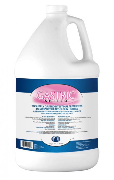 Strictly Equine Gastric Shield