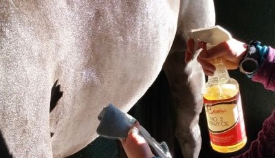 Shapley's No. 2 Heavy Oil - The Tack Shoppe