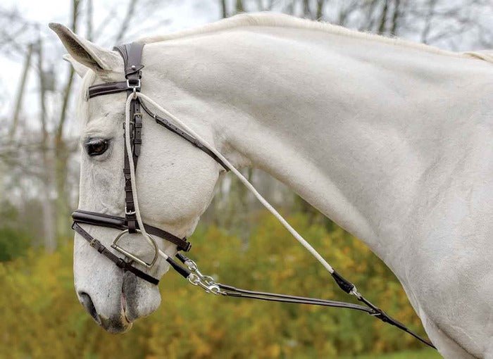 Shires AVIGNON DE GOGUE TRAINING AID - The Tack Shoppe