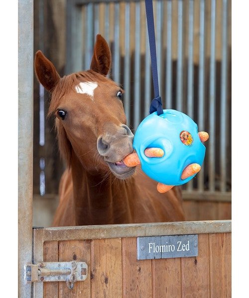 Shires Carrot Ball - The Tack Shoppe