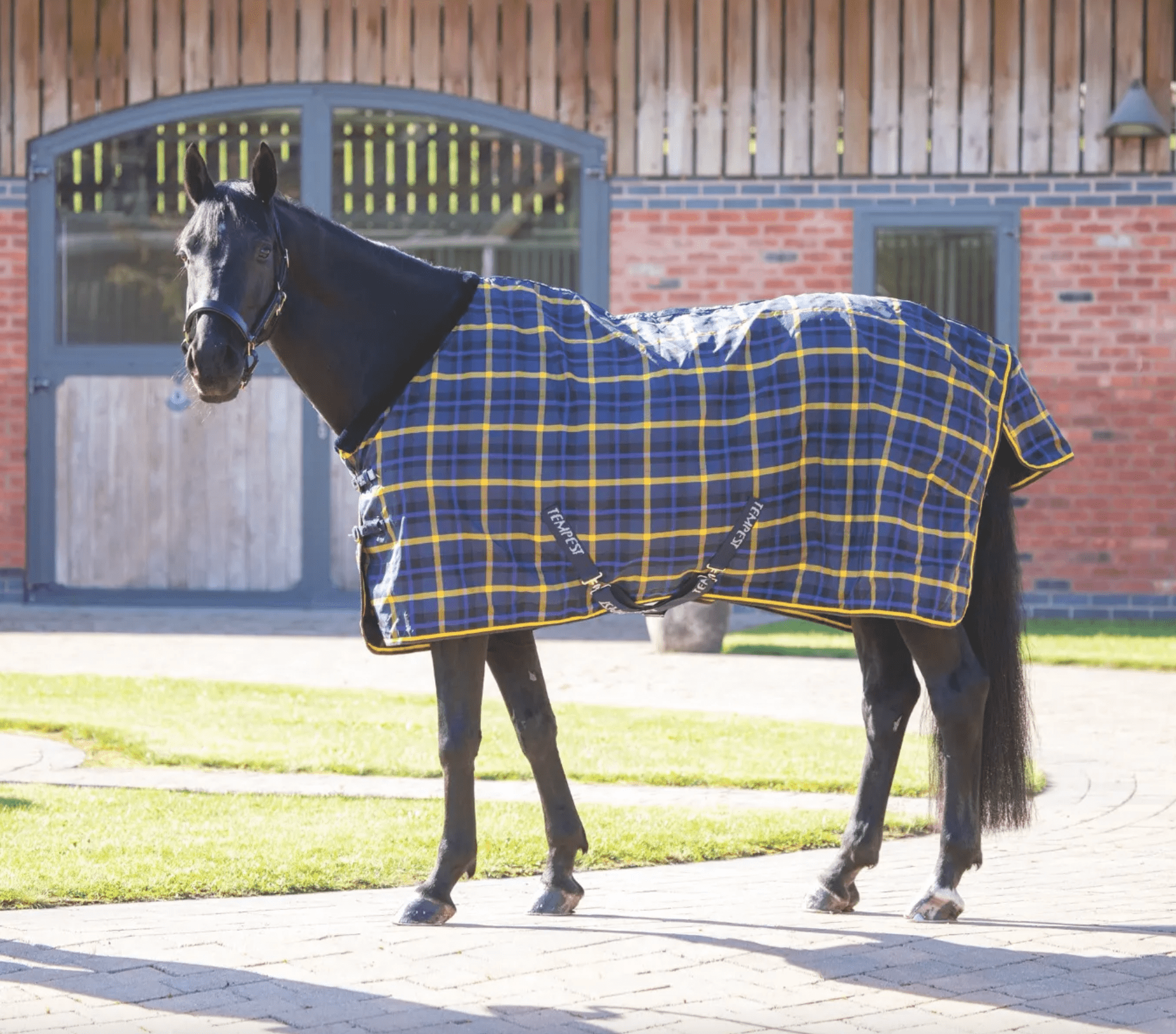 Shires Tempest Plus Lite Stable Blanket - The Tack Shoppe