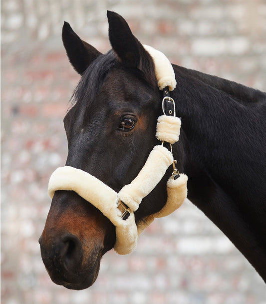Waldhausen Cozy Halter - The Tack Shoppe