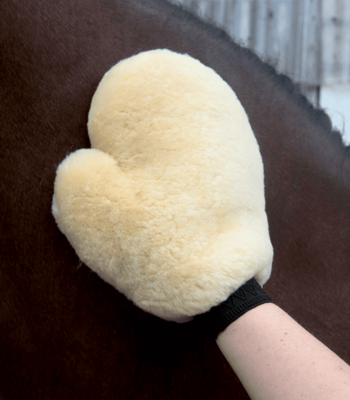 Waldhausen Lambskin Grooming Glove - The Tack Shoppe