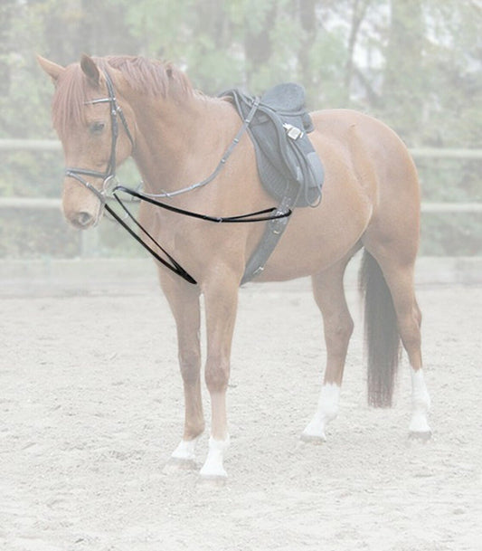 Waldhausen Lunging Draw Reins - The Tack Shoppe