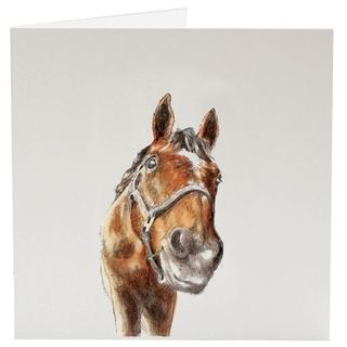 Watercolour Equestrian Greeting Cards - Assorted - The Tack Shoppe