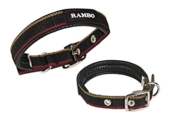 Rambo Dog Collar - Witney Gold
